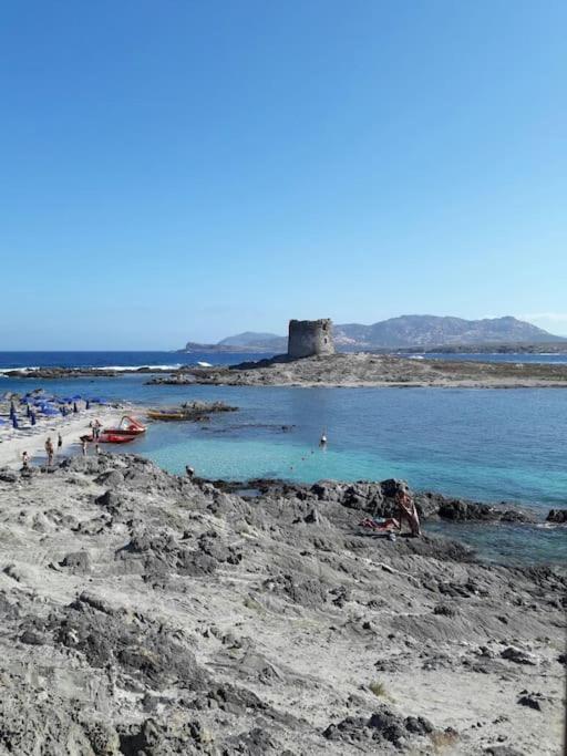 Stintino, Casa In Riva Alla Spiaggia Villa Екстериор снимка