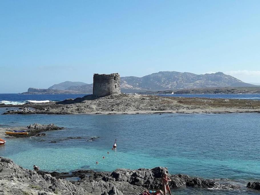 Stintino, Casa In Riva Alla Spiaggia Villa Екстериор снимка